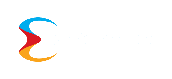 نیٹ اینٹ logo